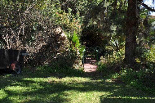 DSC 0004