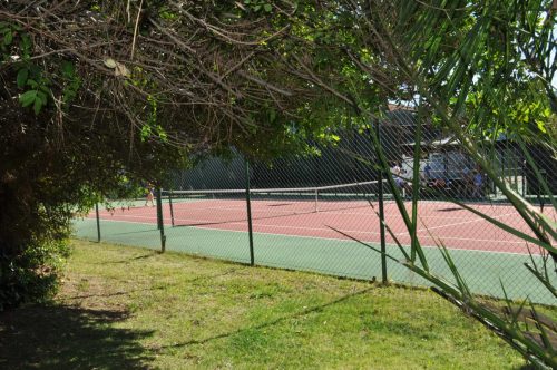 DSC 0005