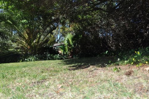 DSC 0008