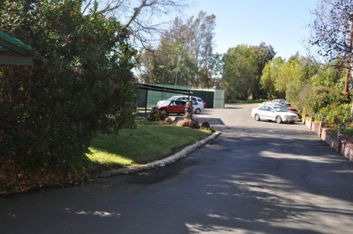 DSC 0010