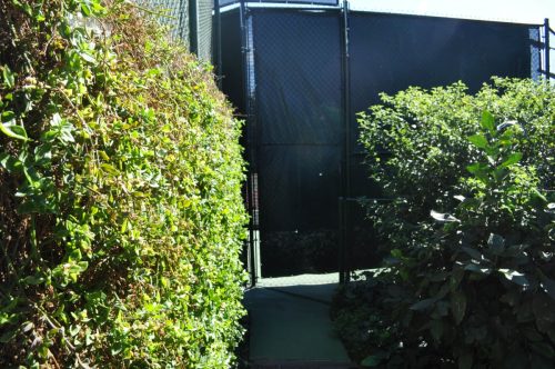DSC 0023