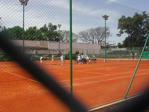 IMG 2798- medium