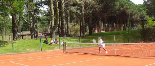 Nestor medium