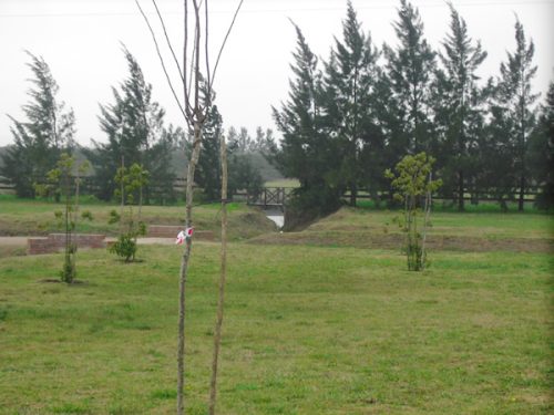 Parque